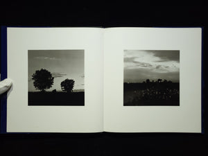 Summer Nights / Robert Adams