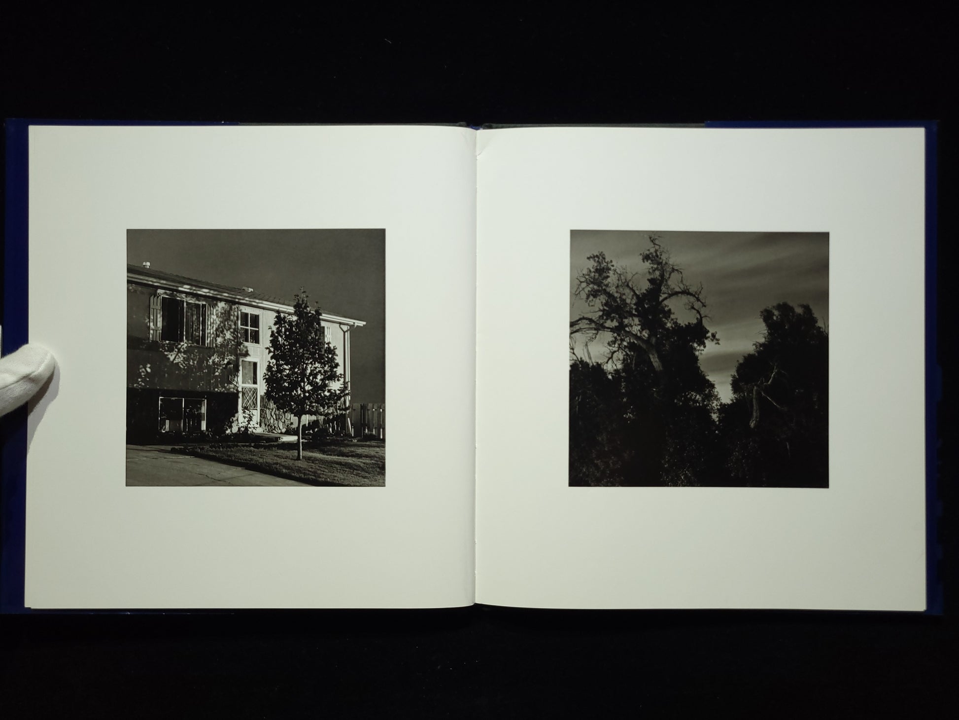 Summer Nights / Robert Adams