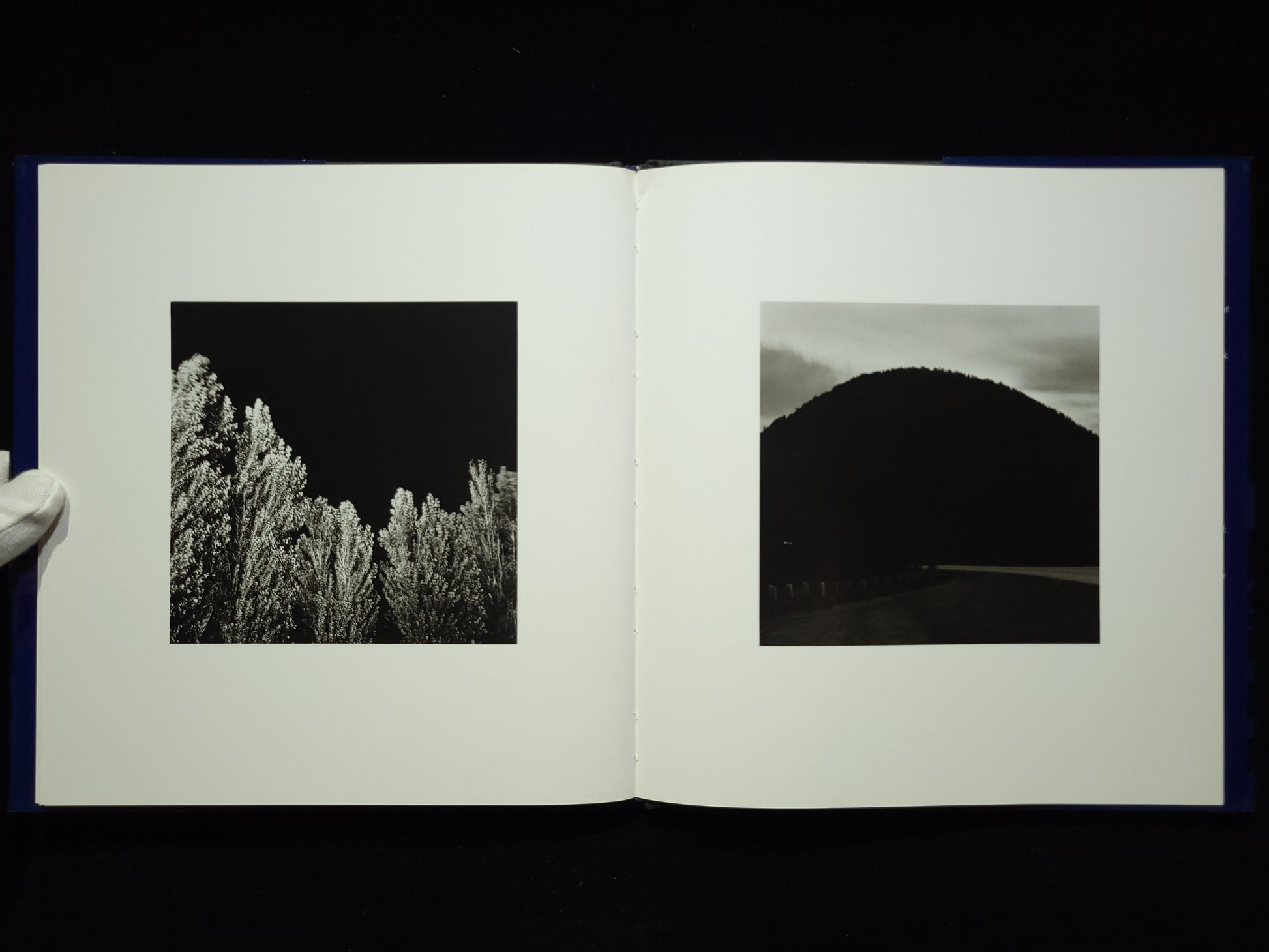 Summer Nights / Robert Adams