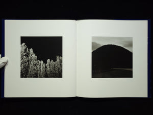 Summer Nights / Robert Adams