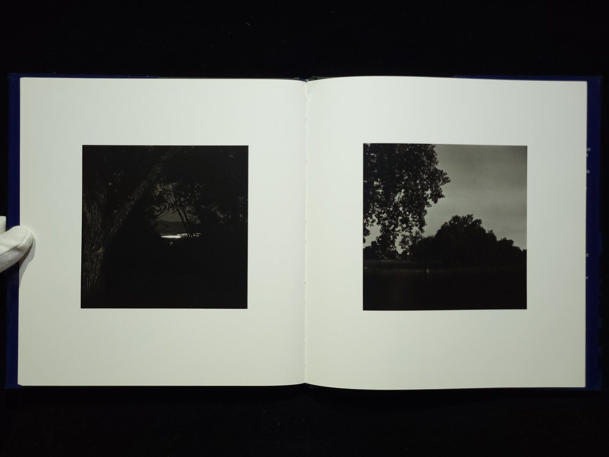 Summer Nights / Robert Adams