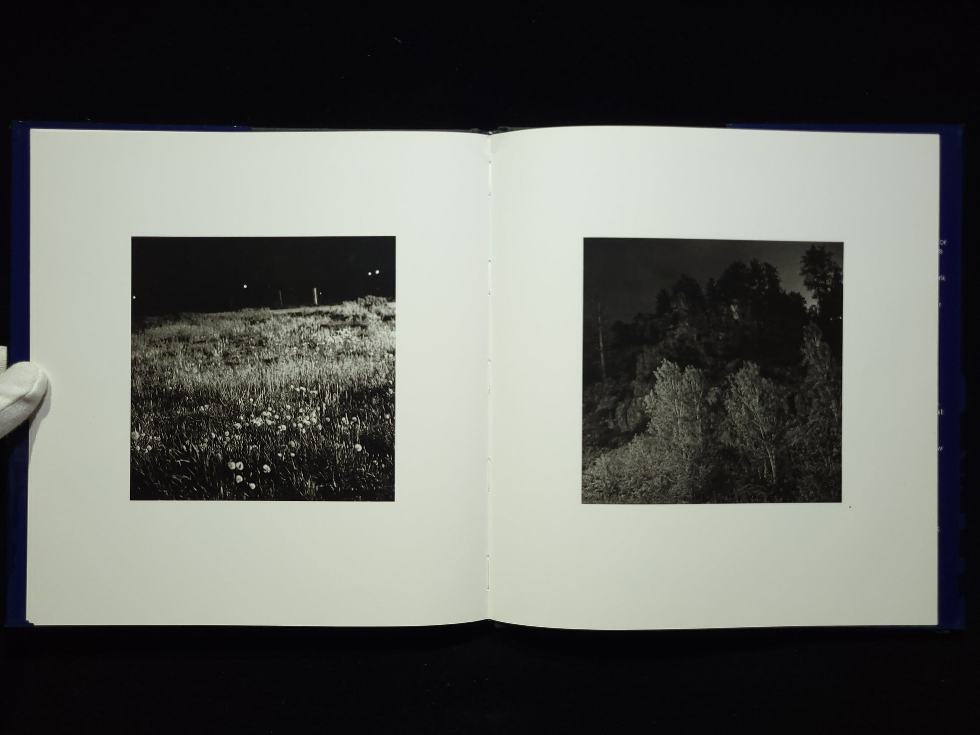 Summer Nights / Robert Adams