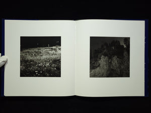 Summer Nights / Robert Adams