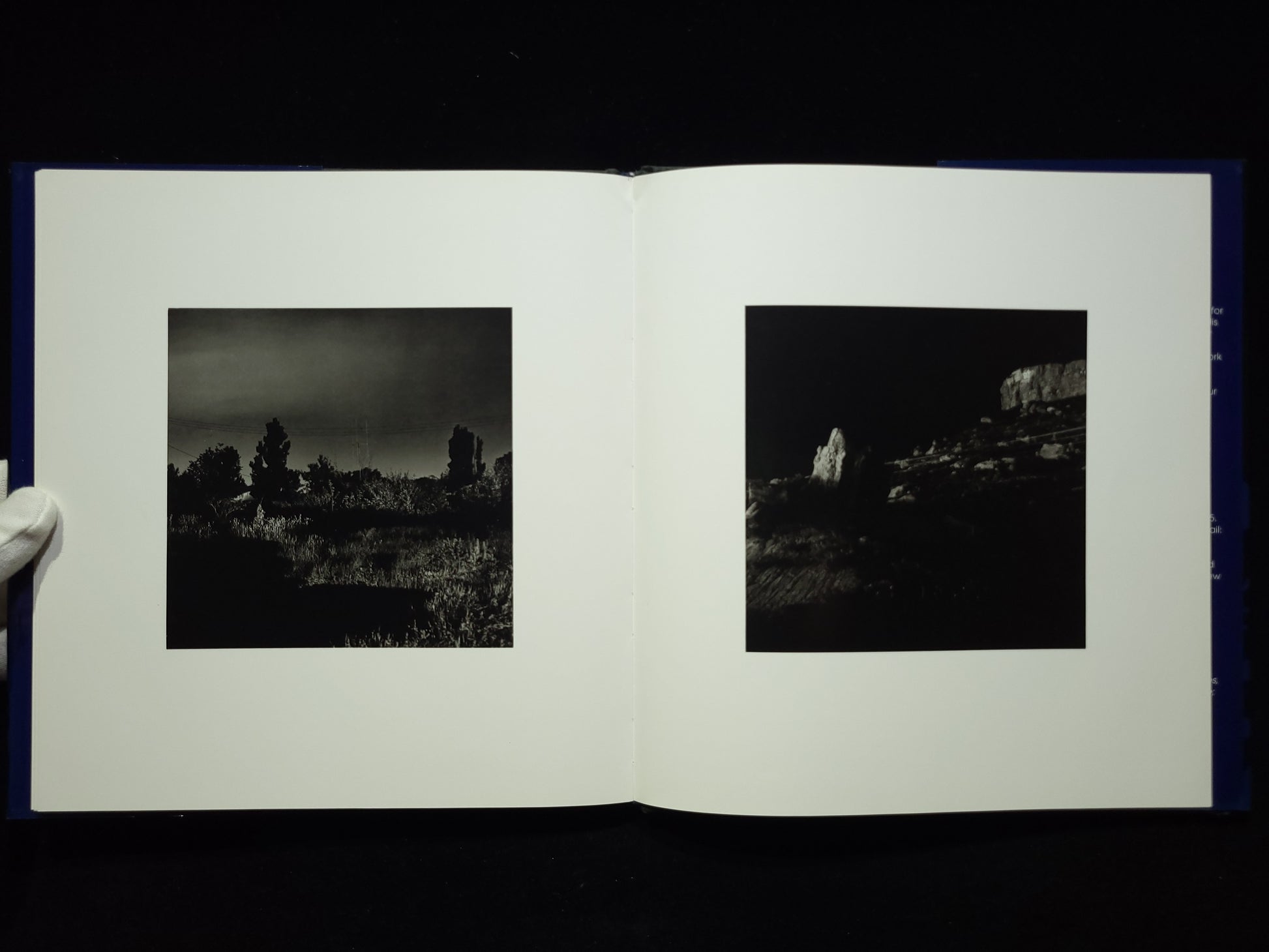 Summer Nights / Robert Adams