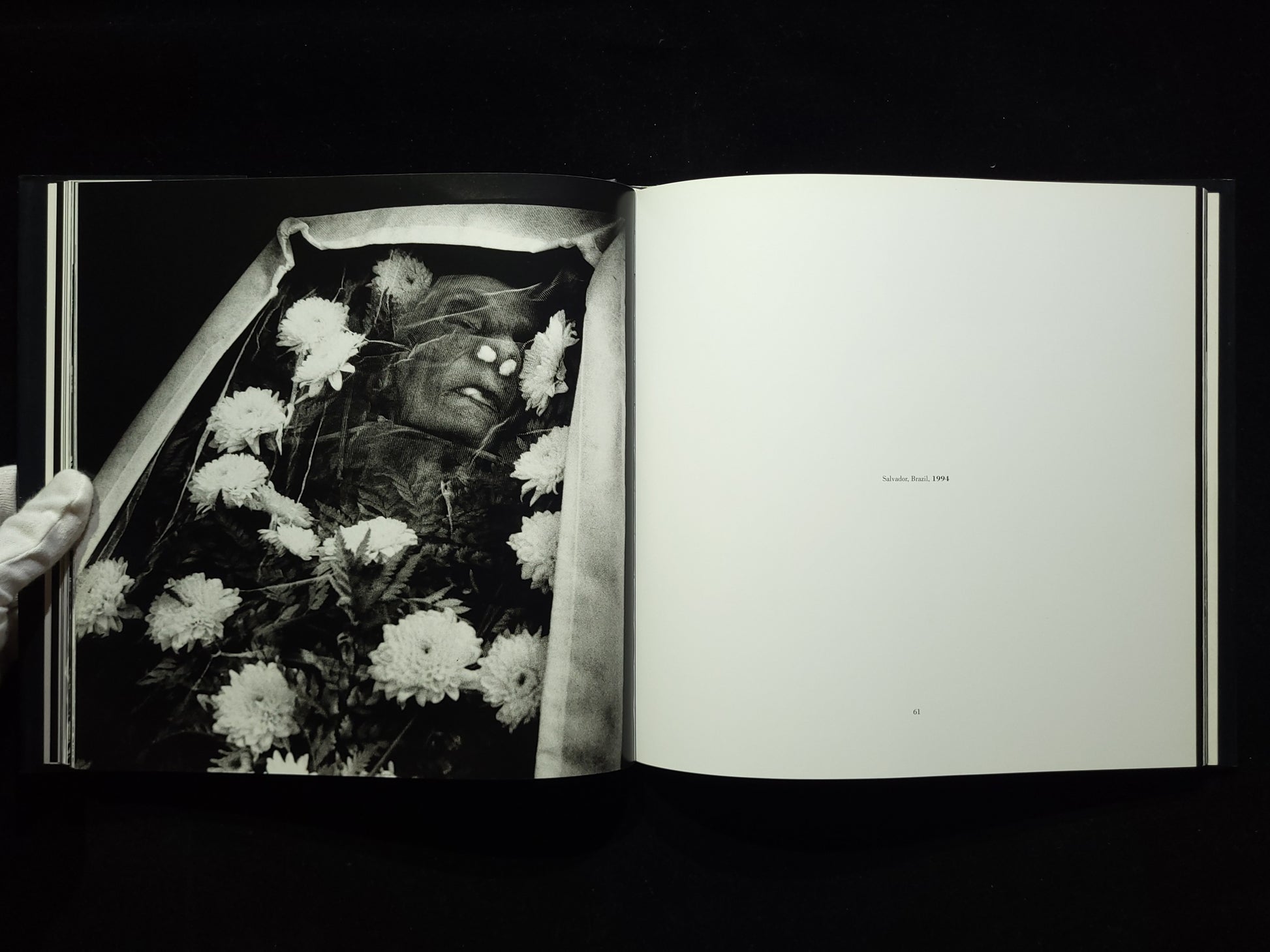 Vivir la Muerte / Bastienne Schmidt 