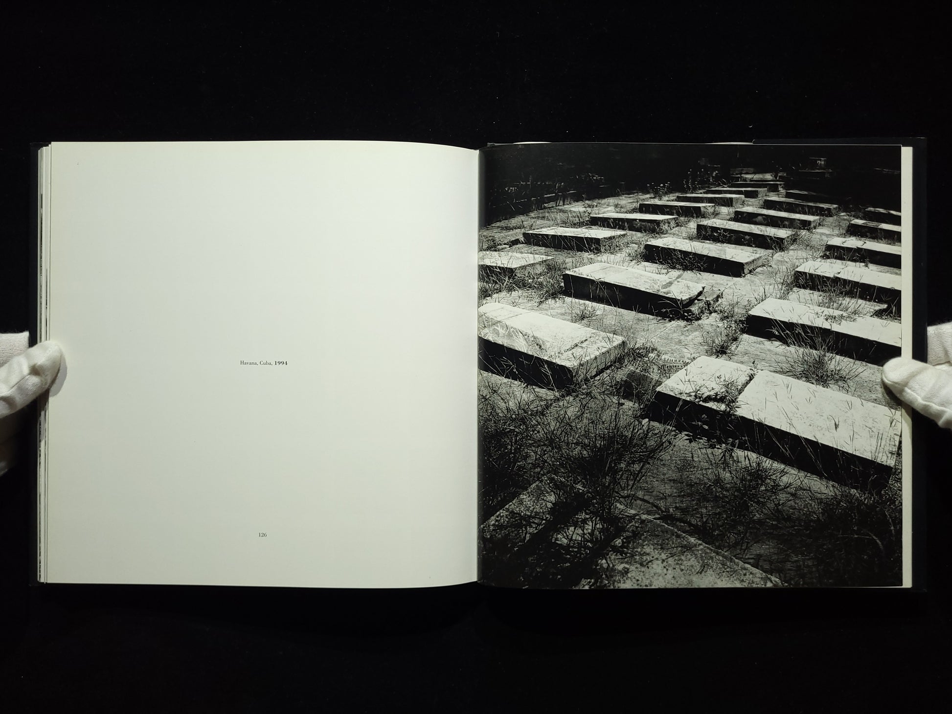 Vivir la Muerte / Bastienne Schmidt