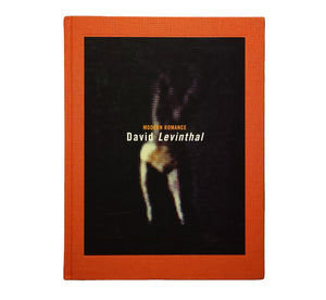 Modern Romance / David Levinthal