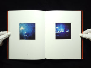 Modern Romance / David Levinthal