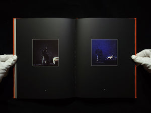 Modern Romance / David Levinthal