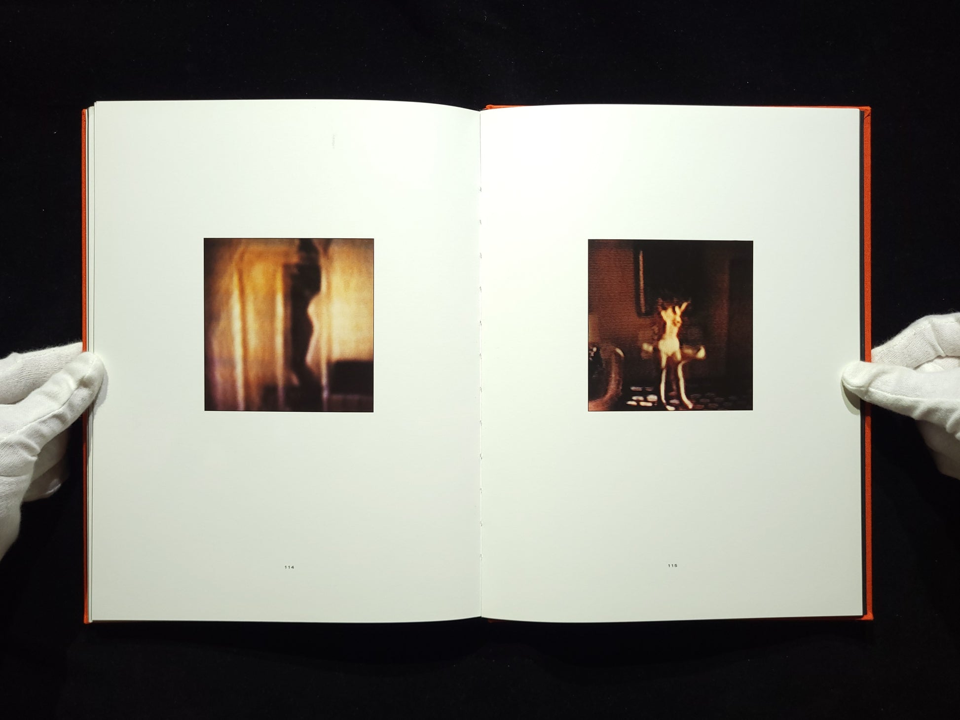 Modern Romance / David Levinthal
