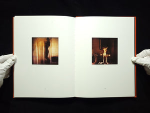 Modern Romance / David Levinthal