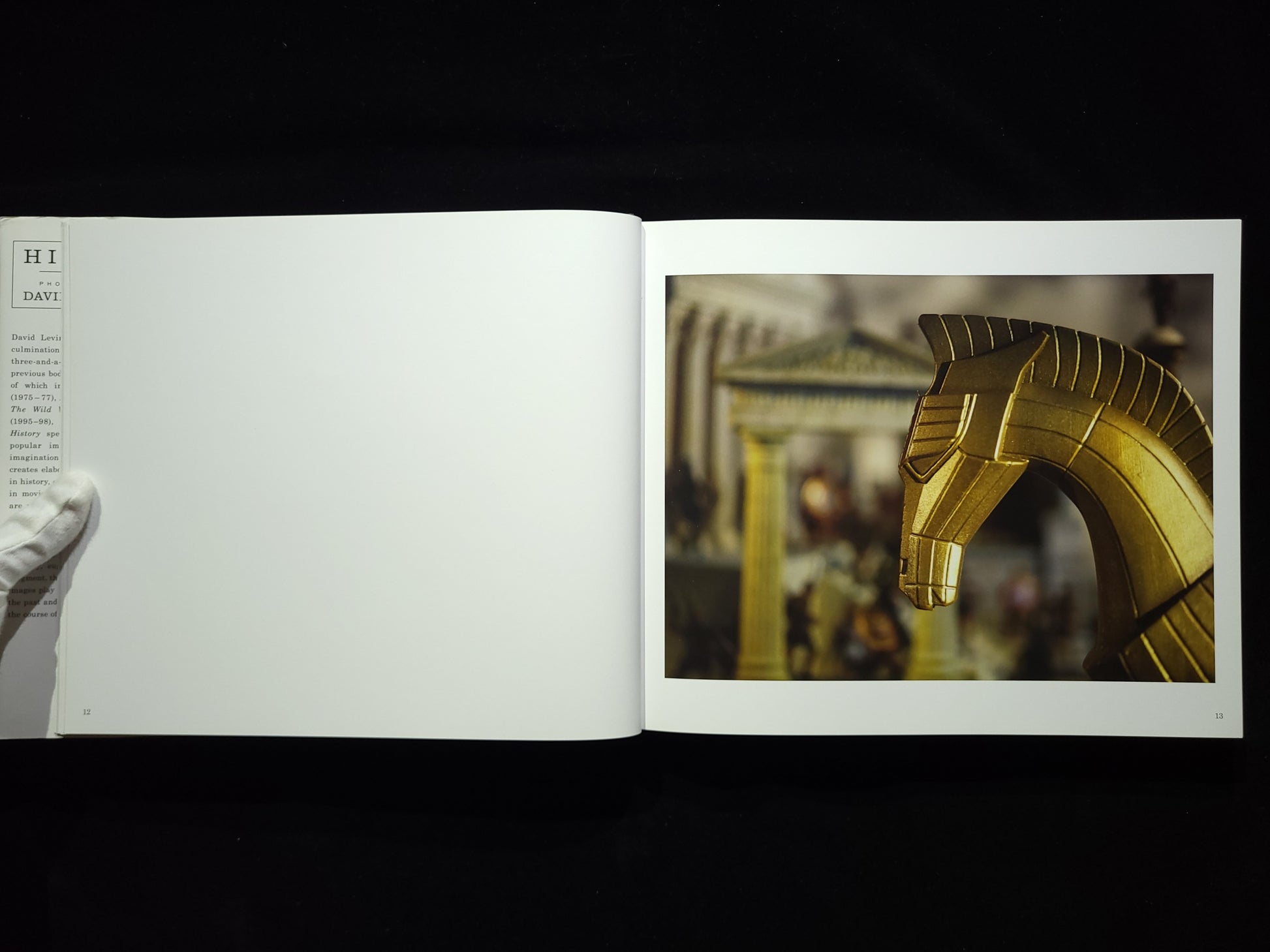 History / David Levinthal