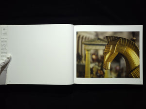 History / David Levinthal