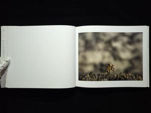 History / David Levinthal