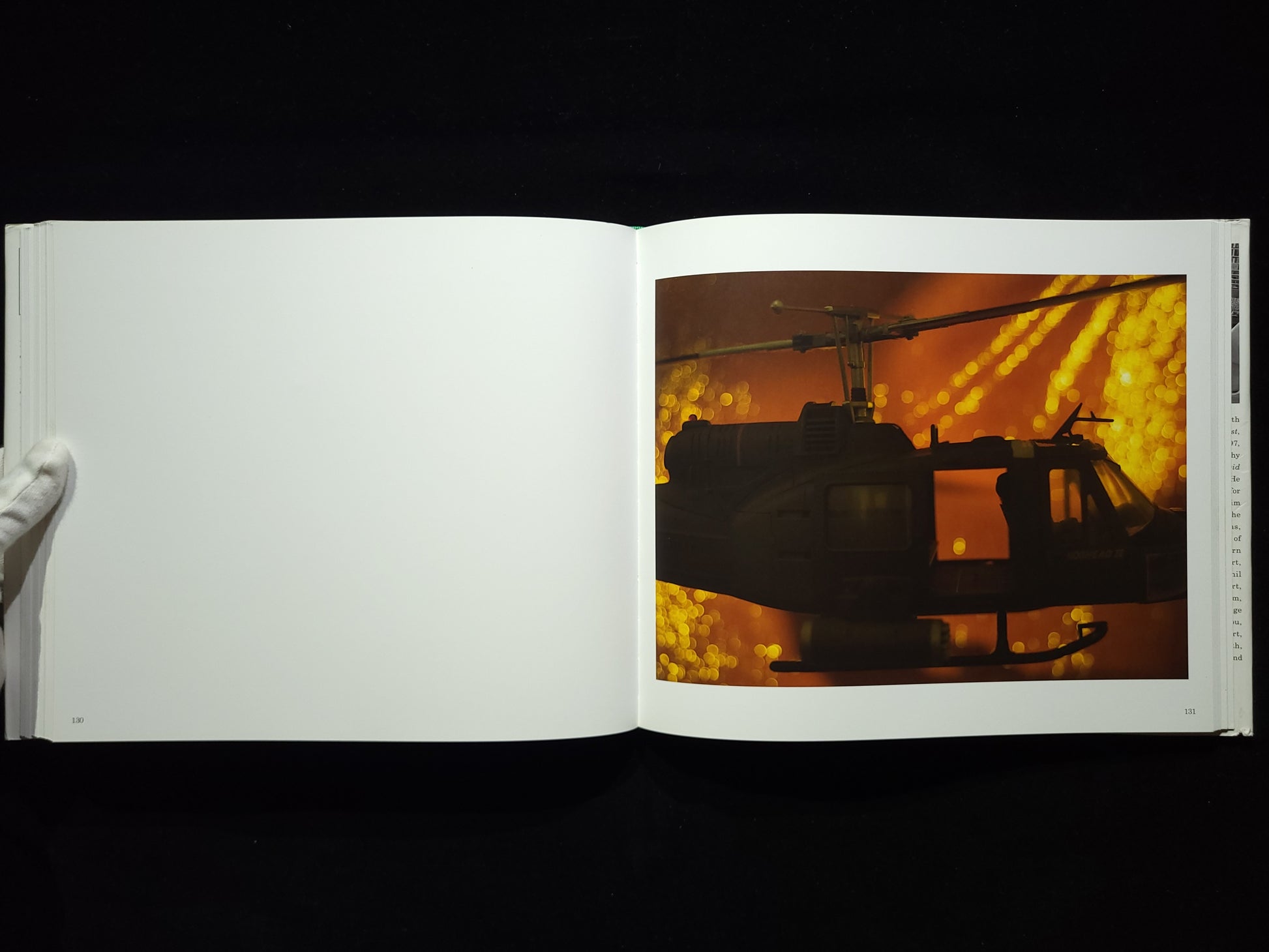 History / David Levinthal