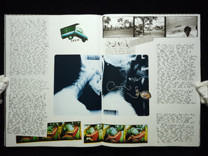 I Want to Take Picture / Bill Burke