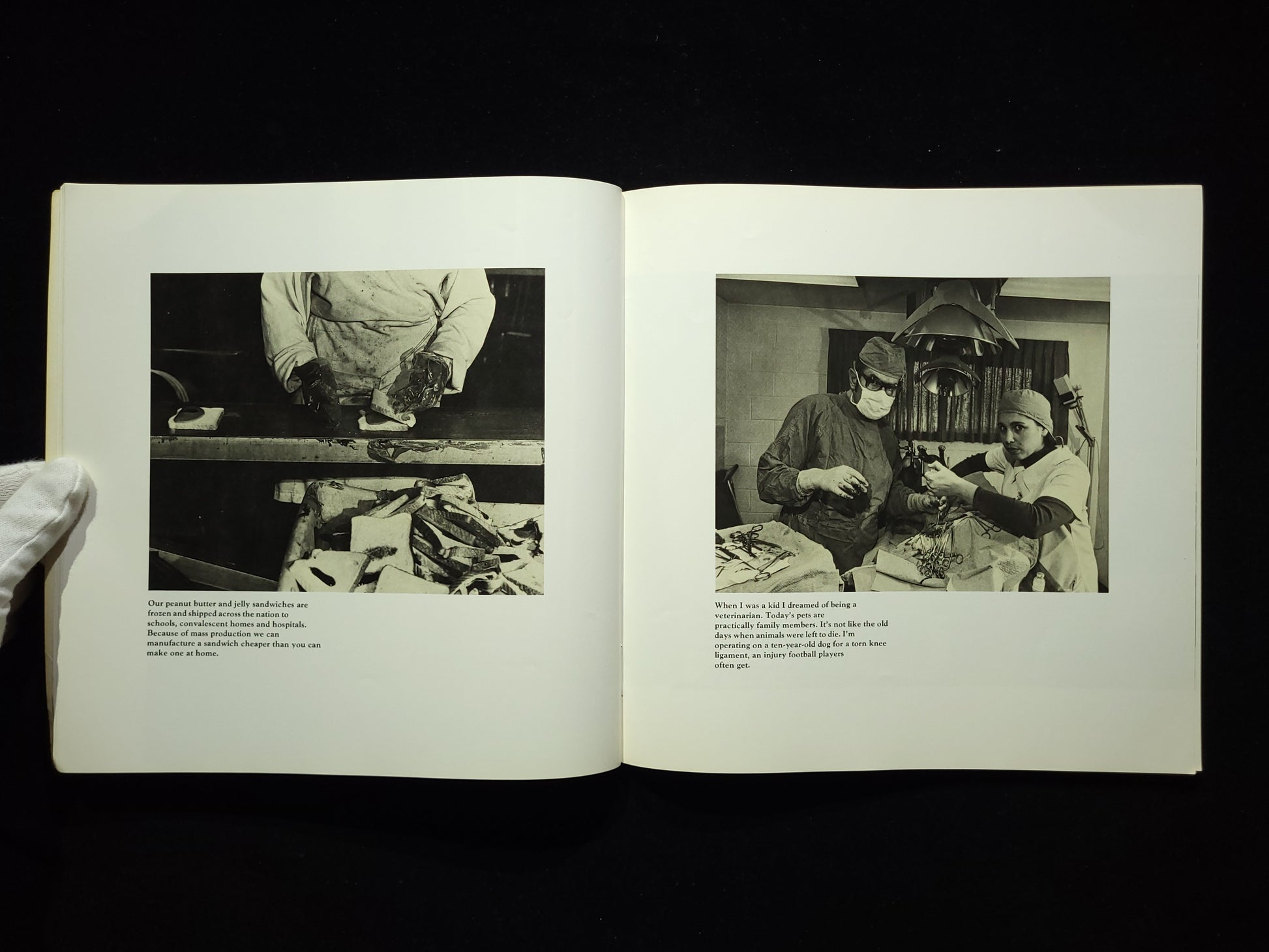 Working : I Do it for the Money / Bill Owens