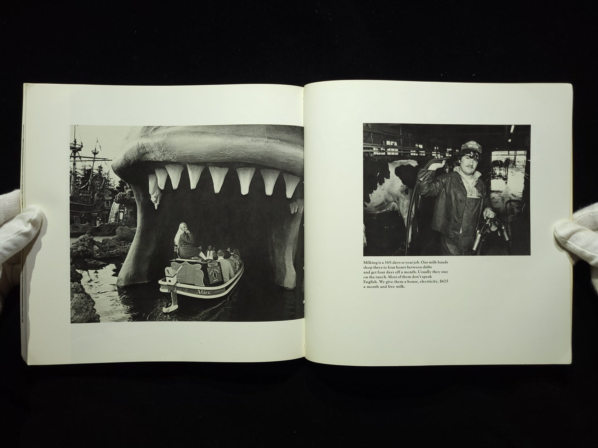 Working : I Do it for the Money / Bill Owens