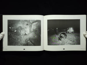 Evidence：NYPD Crime Scene  / Luc Sante