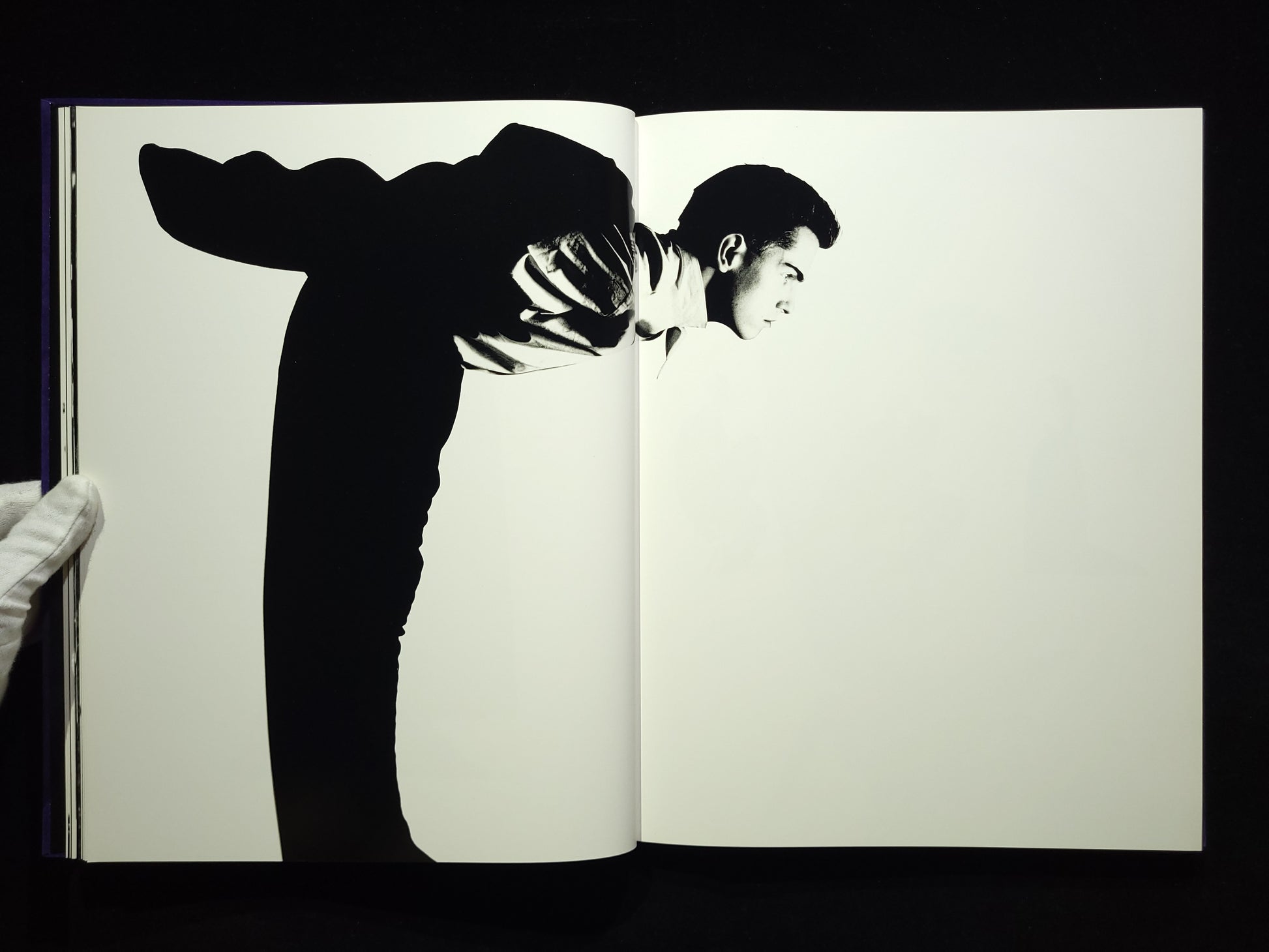 Nicknight：The Blue Velvet Book