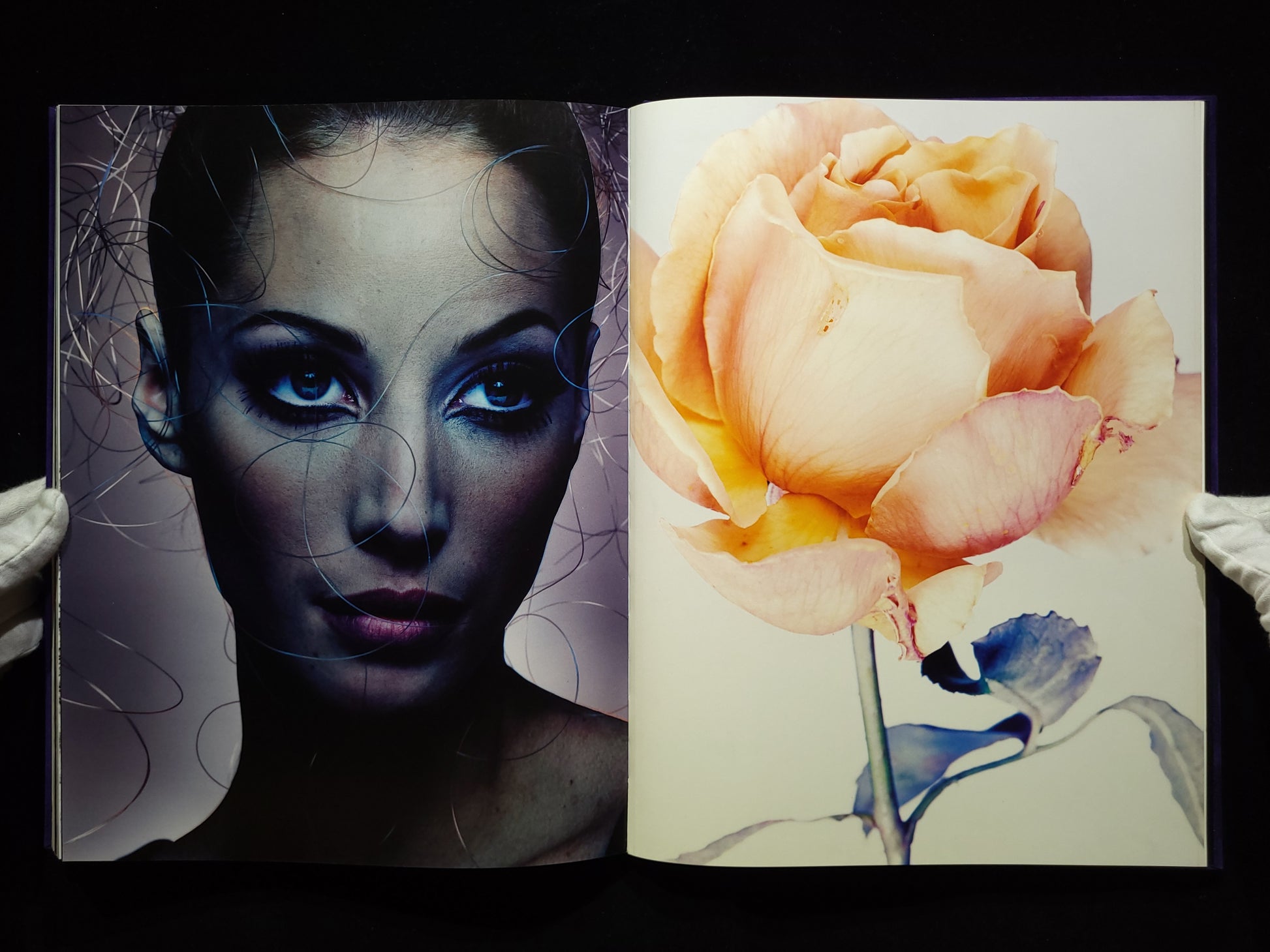 Nicknight：The Blue Velvet Book