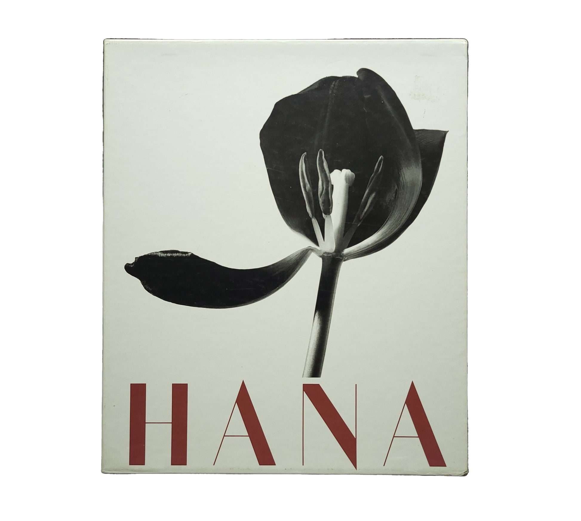 Hana / 石元泰博