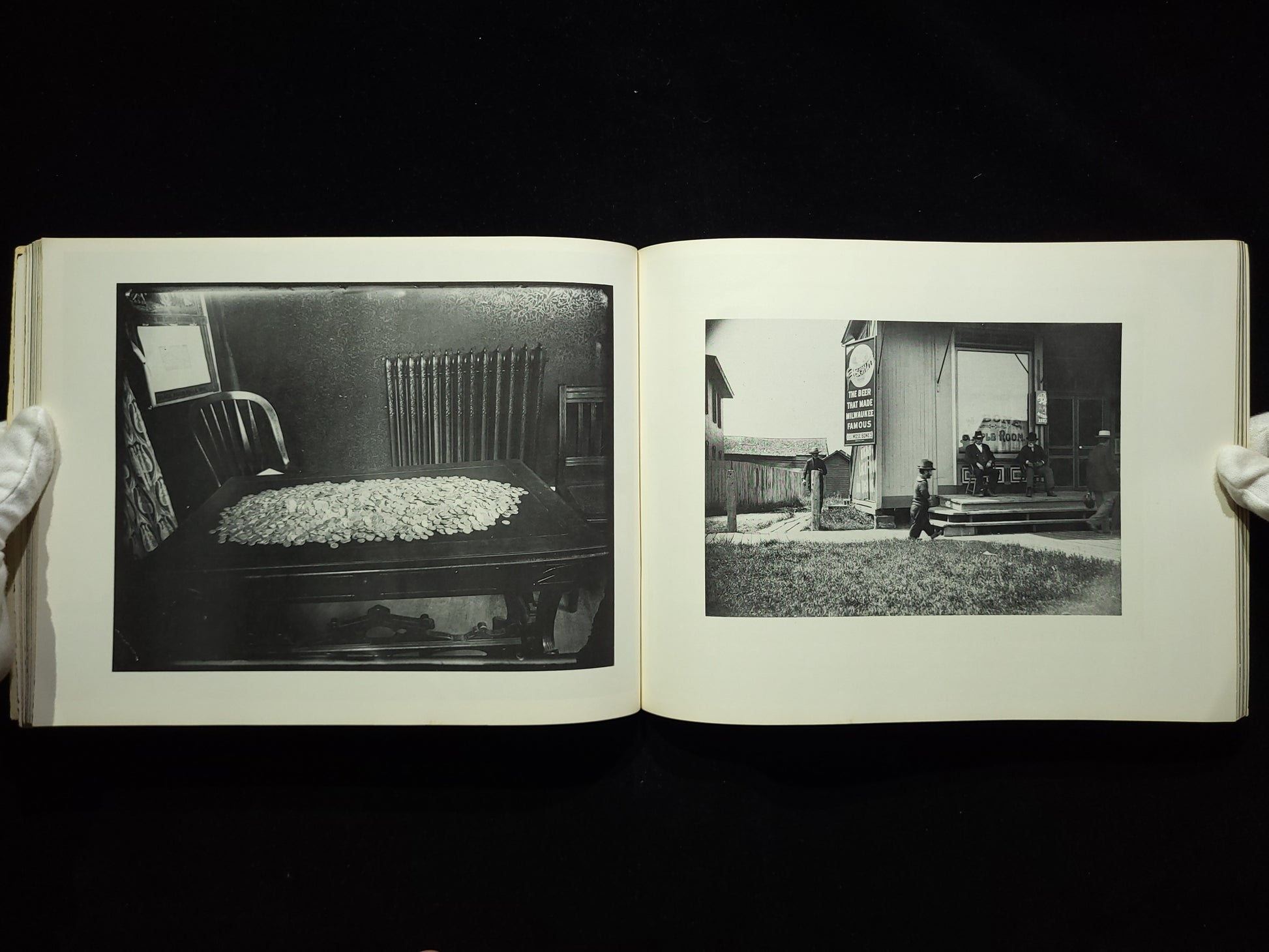 Wisconsin Death Trip / Michael Lesy