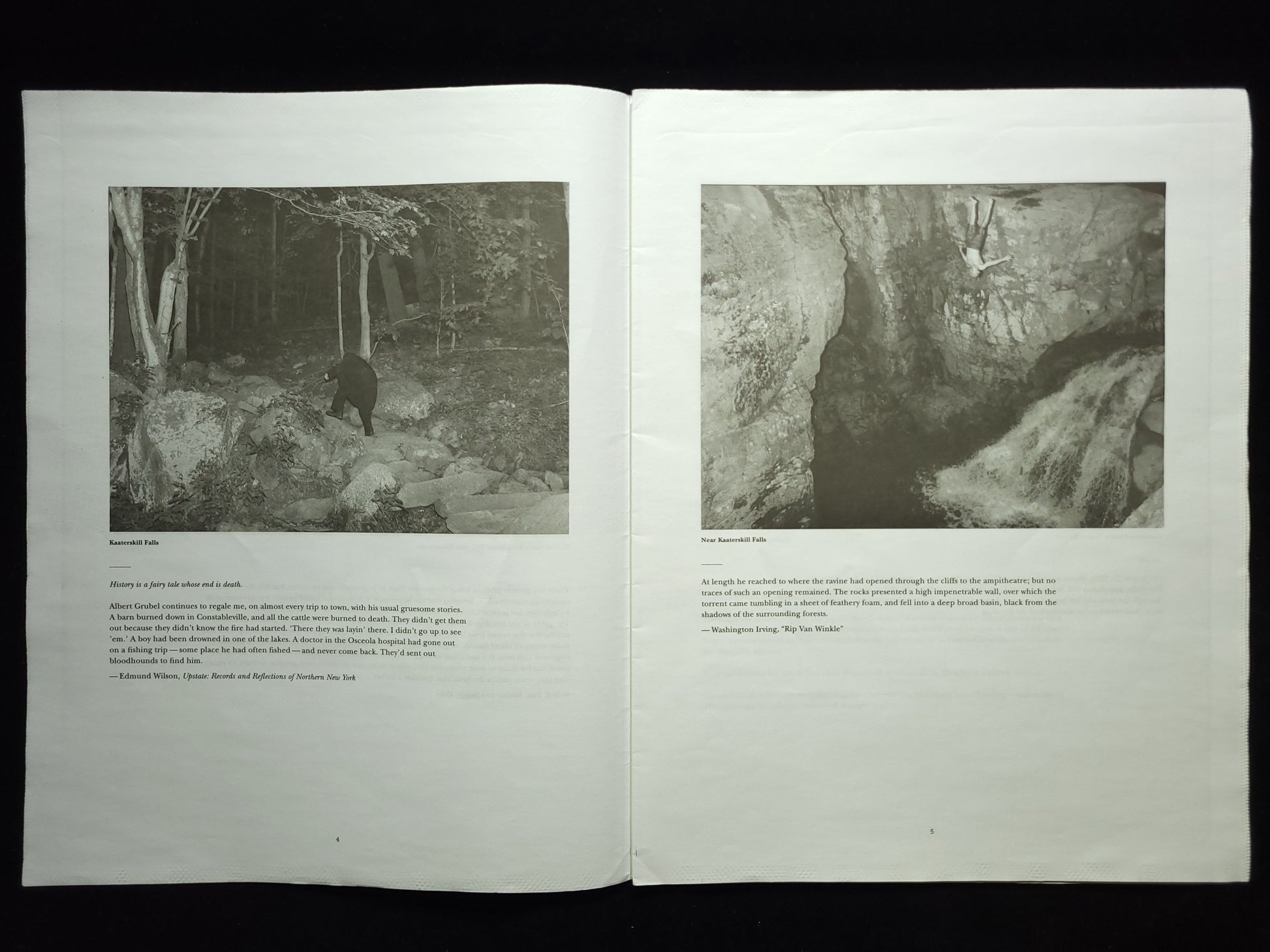 Upstate (LBM Dispatch #2) / Alec Soth