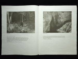 Upstate (LBM Dispatch #2) / Alec Soth