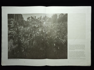 Upstate (LBM Dispatch #2) / Alec Soth