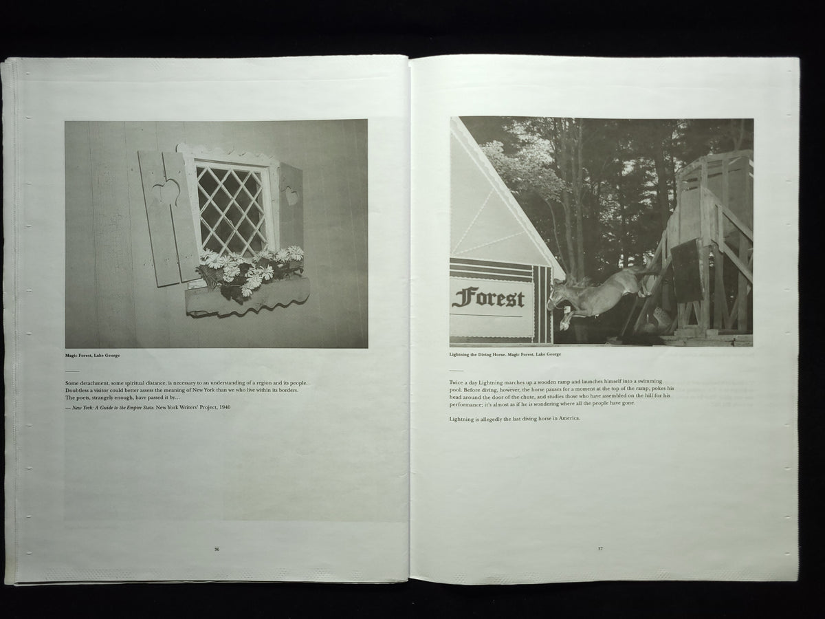Upstate (LBM Dispatch #2) / Alec Soth