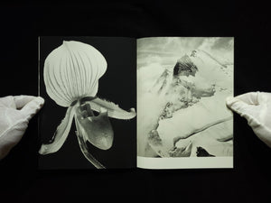 Portfolio / Robert Frank