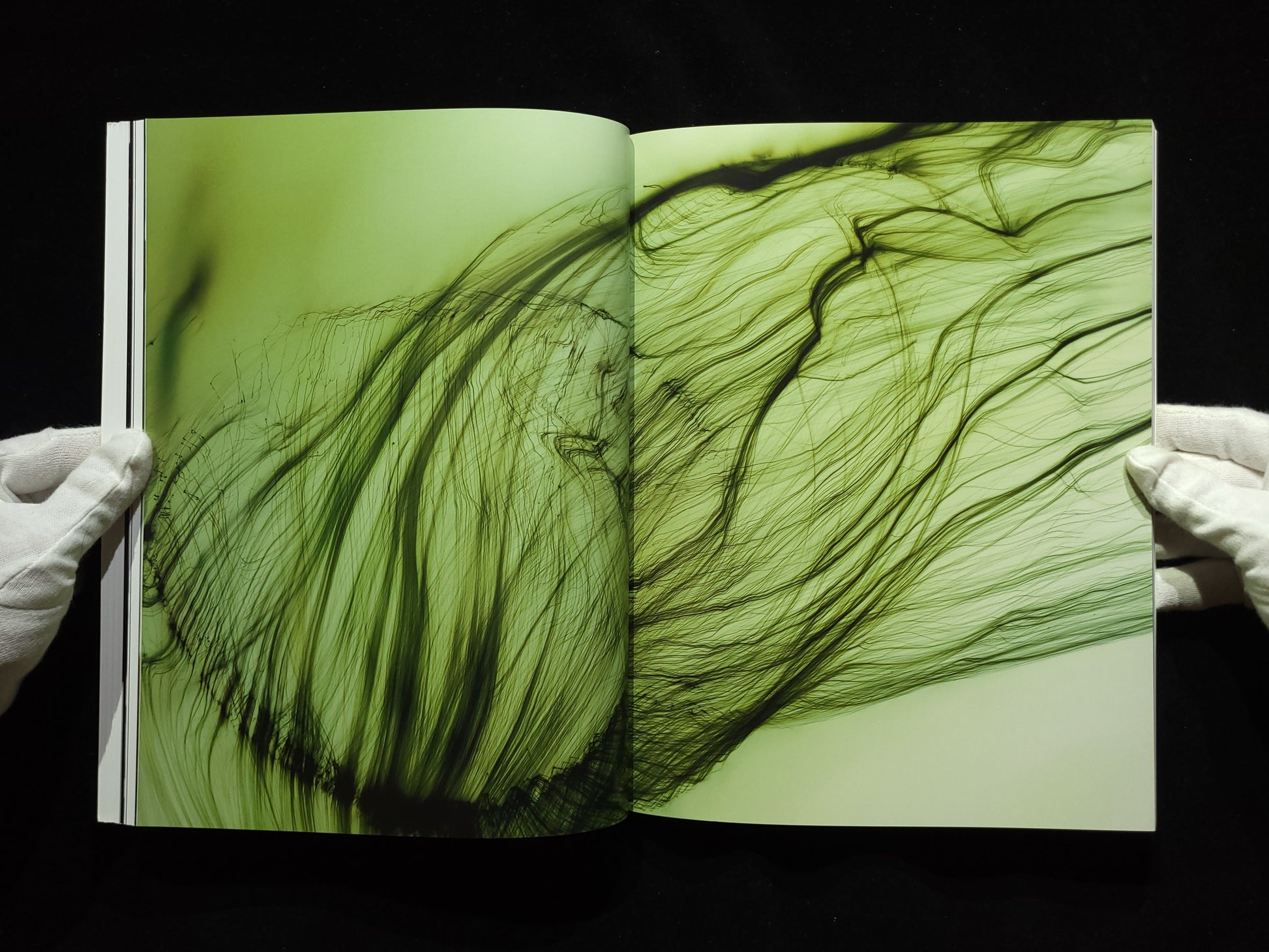 Truth Study Center / Wolfgang Tillmans